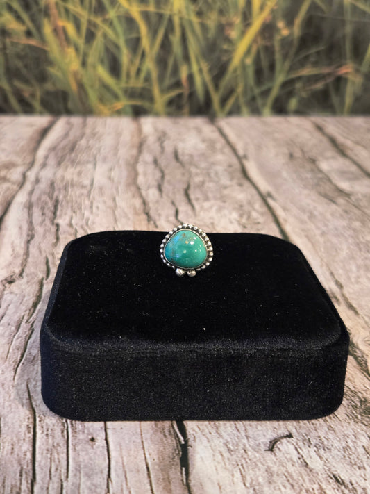 Campitos Turquoise Hair Twist