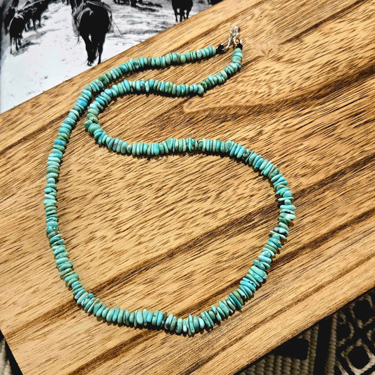 Turquoise Chip Bead Necklace