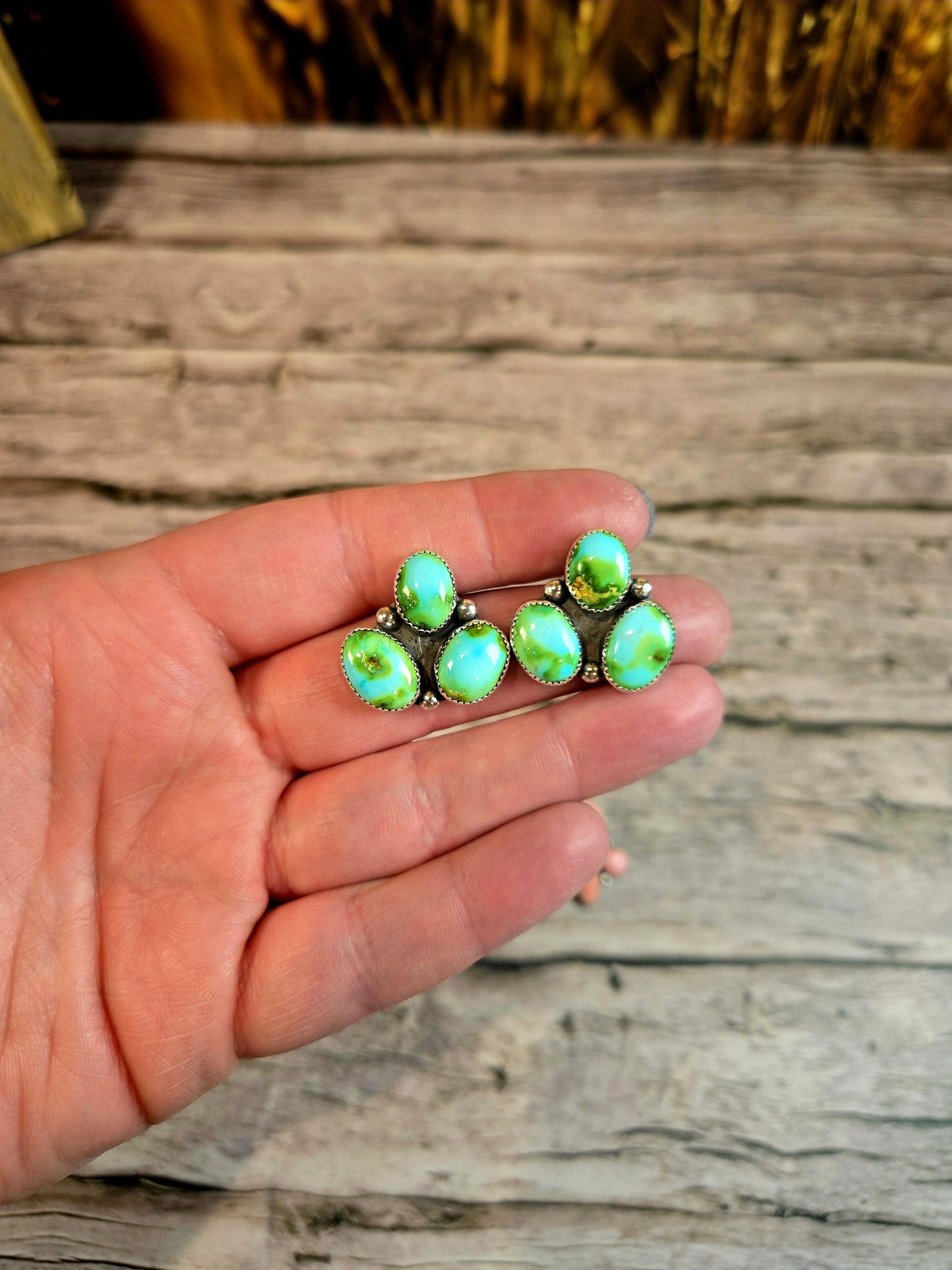 Sonoran Mountain Cluster Studs